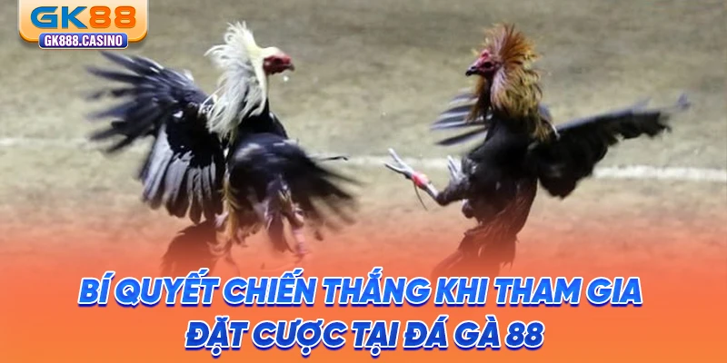 Đá Gà 88: Thiên Đường Chọi Kê Trực Tuyến Đẳng Cấp Tại GK88 bi-quyet-chien-thang-khi-tham-gia-dat-cuoc-tai-da-ga-88